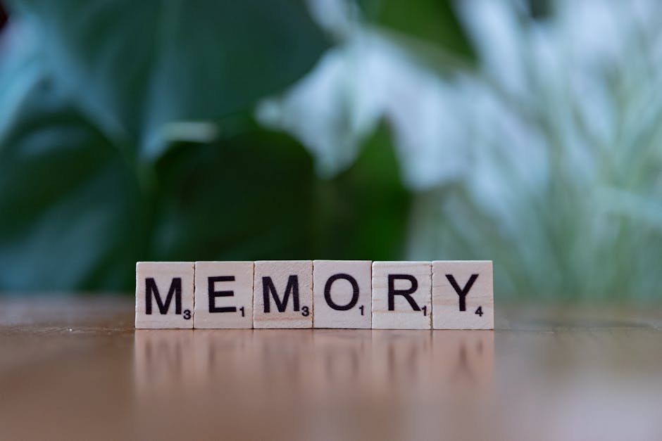 HOW TO IMPROVE YOUR MEMORY AND KEEP YOUR BRAIN IN TOP CONDITION