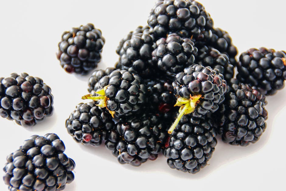 Las Moras mejoran la limpieza neuronal