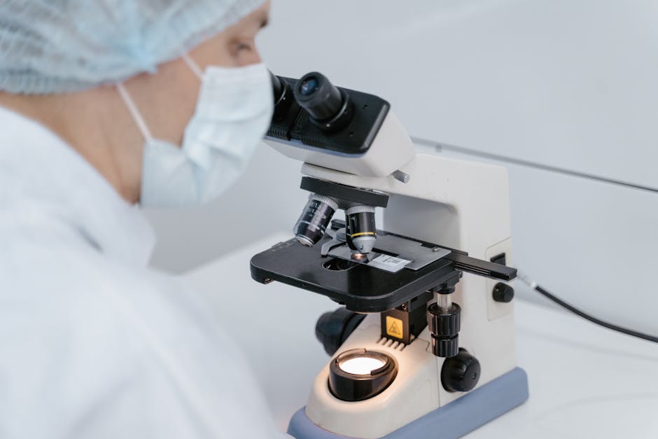 Some interesting things about some studies in testosterone