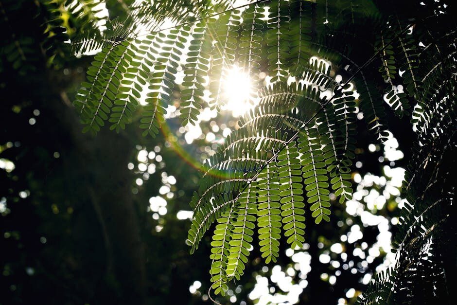 La vitamina D, gran amiga de la luz solar