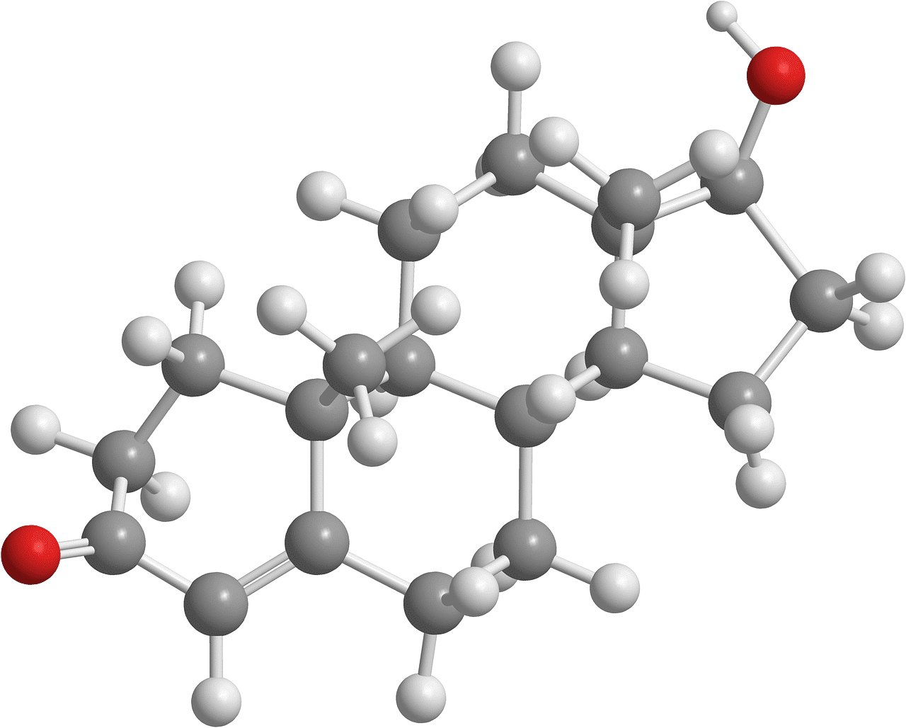 Testosterone Therapy and Body Composition