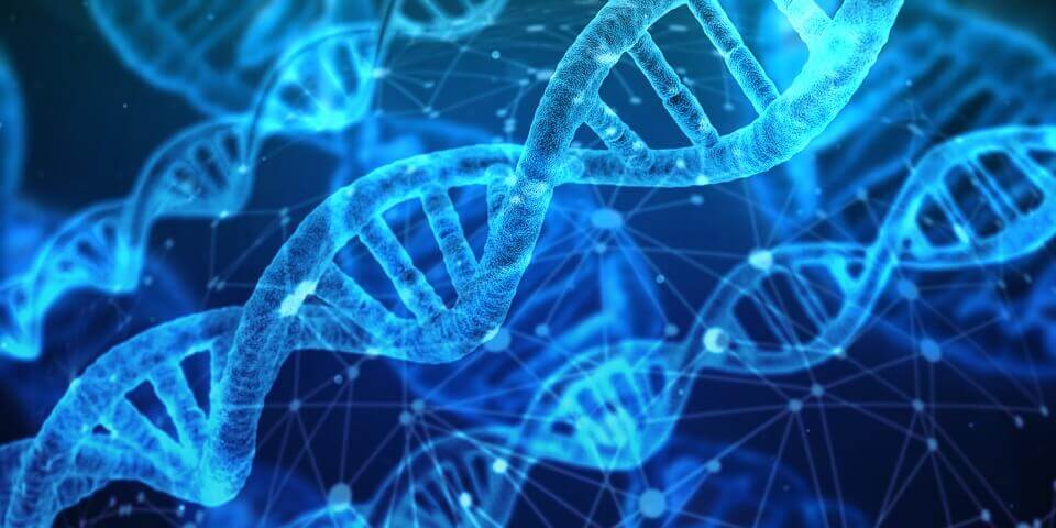 Prueba de ADN para determinar el código de barras