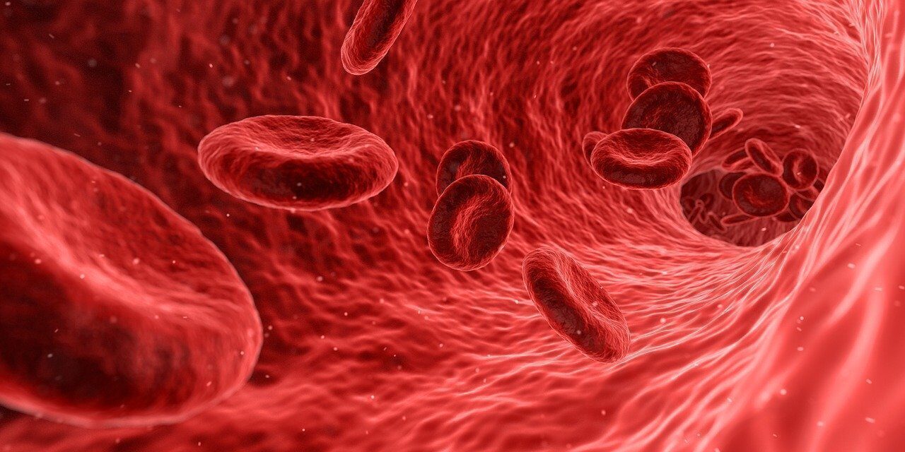 Medición de hormonas en sangre