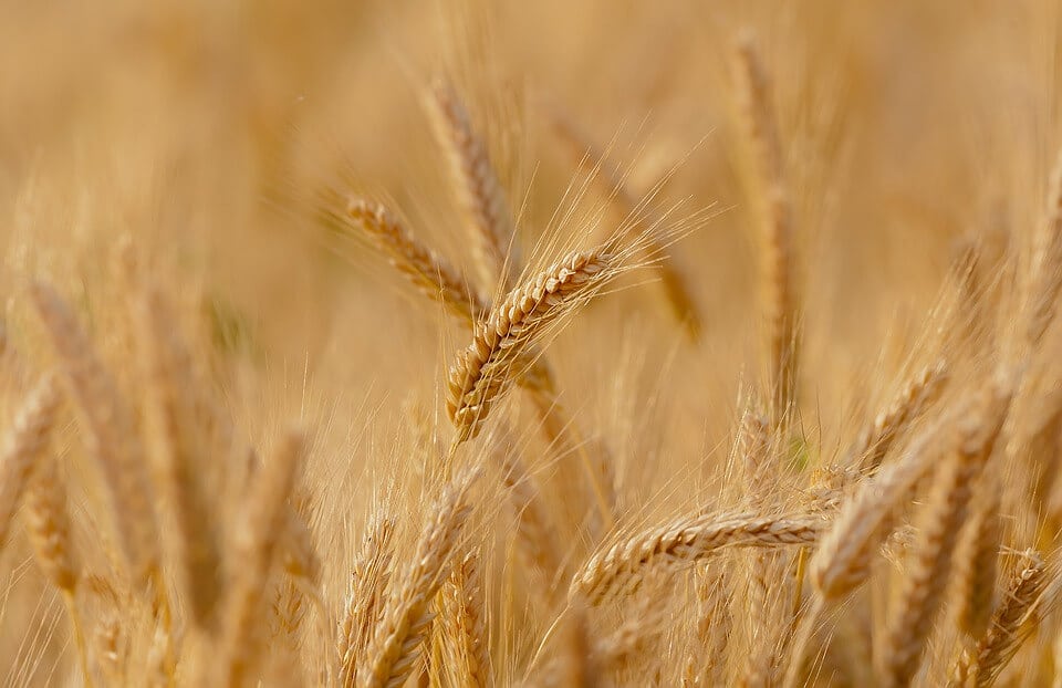 Cómo reducir niveles de homocisteína naturalmente