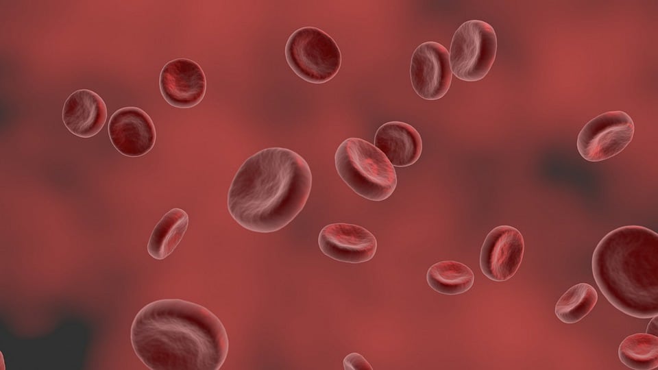 How to raise hdl without medication