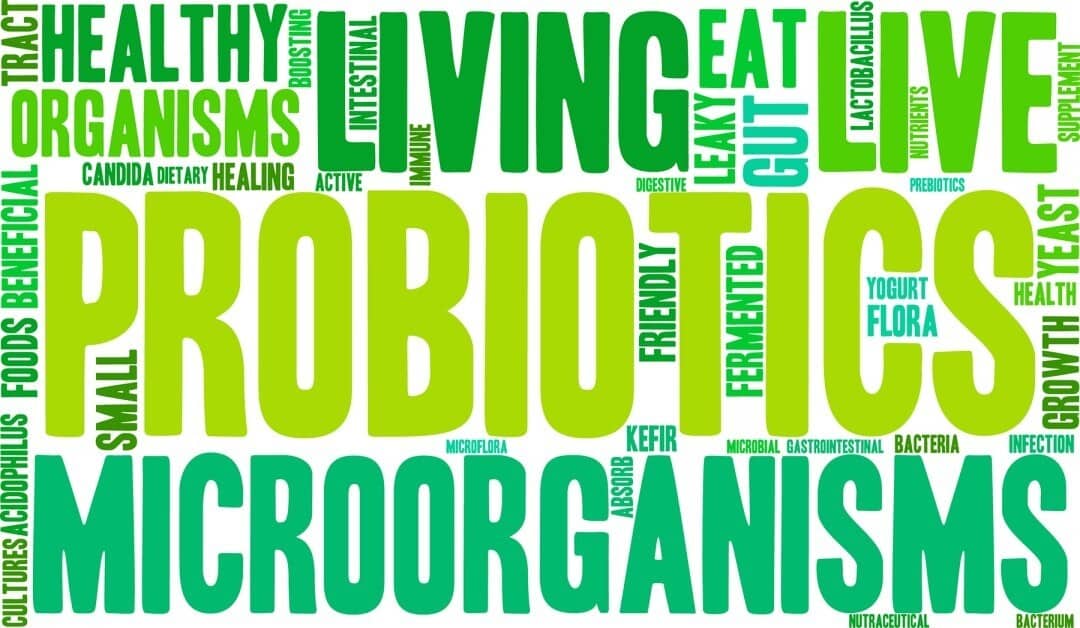 The Best 5 Probiotics for Your Insulin