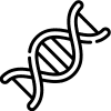 ADN metilación