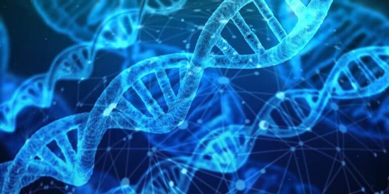 prueba de ADN para determinar el código de barras