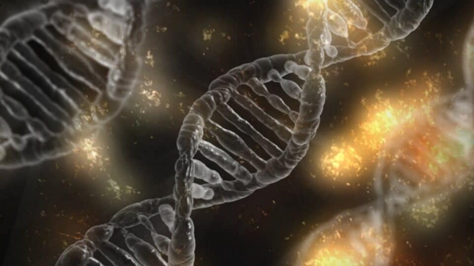 test-de-adn