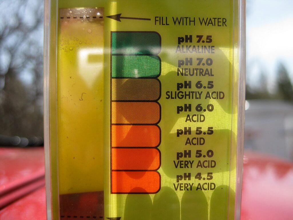 ph test tiras reactivas