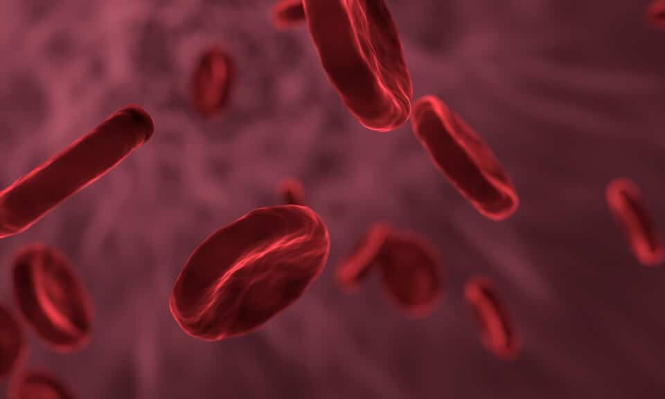 b12 intramuscular combate la anemia