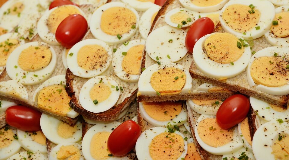 huevos para la placa arterial