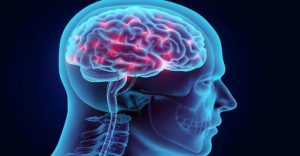 Vinpocetine memory booster